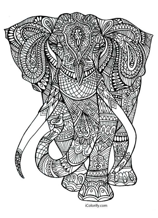 Mandala Eléphant, Coloriage animaux anti-stress, Dessin Haute Définition Gratuit sur iColorify.com