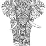 Mandala Elephanta Coloriage animaux gratuit - iColorify.com