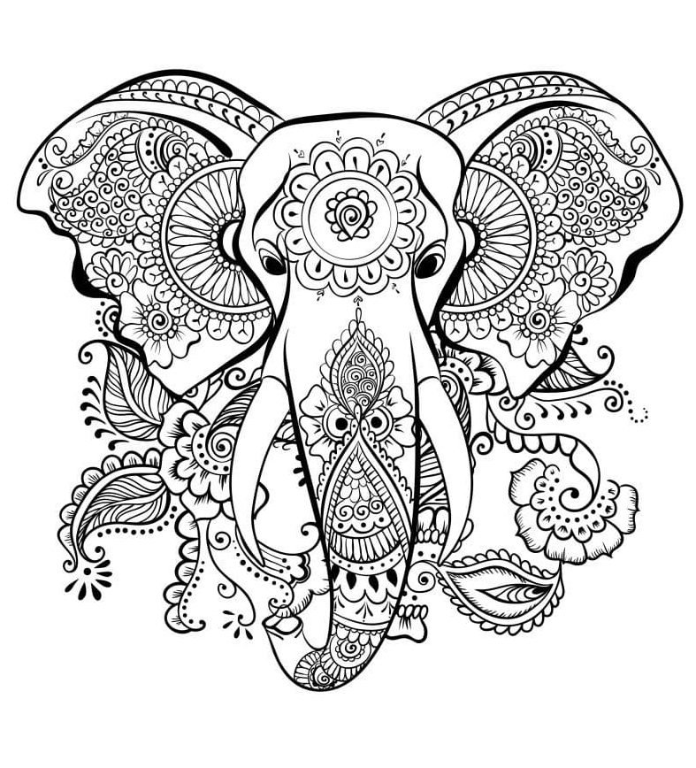 Mandala tête Elephant à Coloriage animaux gratuit - iColorify.com