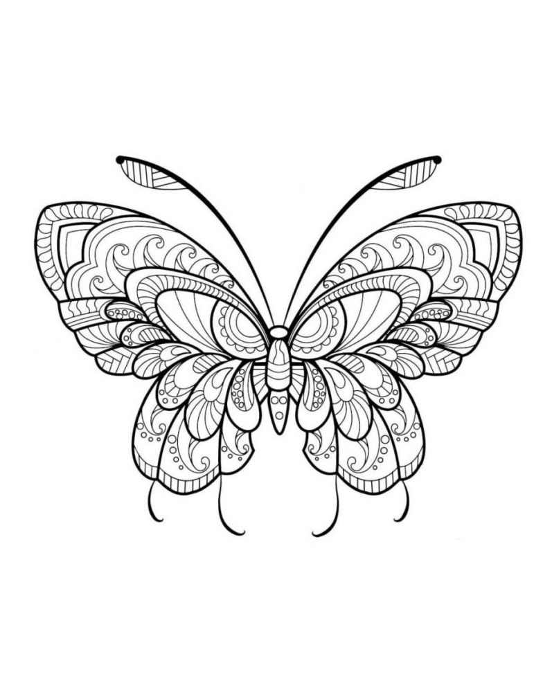 Mandala Papillon un Coloriage anti-stress Dessin haute qualité - Tatouage - zentangle - coloriage-dessin-mandala.com