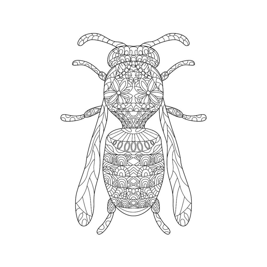 Coloriage Abeille Mandala Abeille, un dessin insecte anti-stress gratuit à imprimer sur iColorify.com