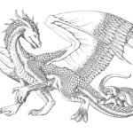 Coloriage Dragon, un dessin anti-stress gratuit à imprimer, Mandala Dragon sur Coloriage-Dessin-Mandala.com