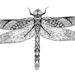 Coloriage Libellule, Mandala Libellule, un dessin anti-stress, un tatouage haute définition, un Coloriage insecte gratuit à imprimer sur iColorify.com