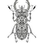 dessin Scarabée Mandala Scarabée Gratuit, tatouage insecte, dessin anti-stress à imprimer sur iColorify.com