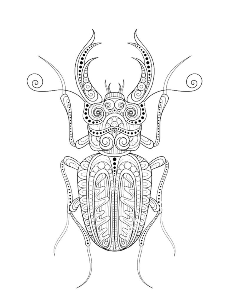 Coloriage Scarabée Mandala Scarabée style Zentangle Gratuit, tatouage insecte, dessin anti-stress à imprimer sur iColorify.com