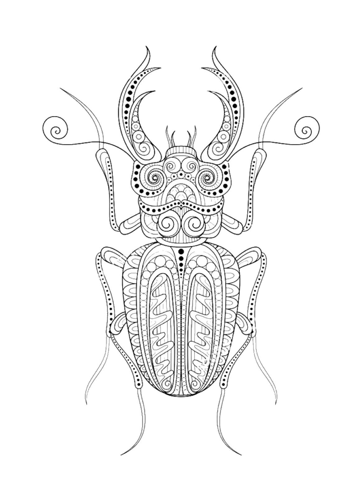 Coloriage Scarabée Mandala Scarabée style Zentangle Gratuit, tatouage insecte, dessin anti-stress à imprimer sur iColorify.com