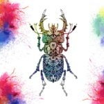 Mandala scarabée