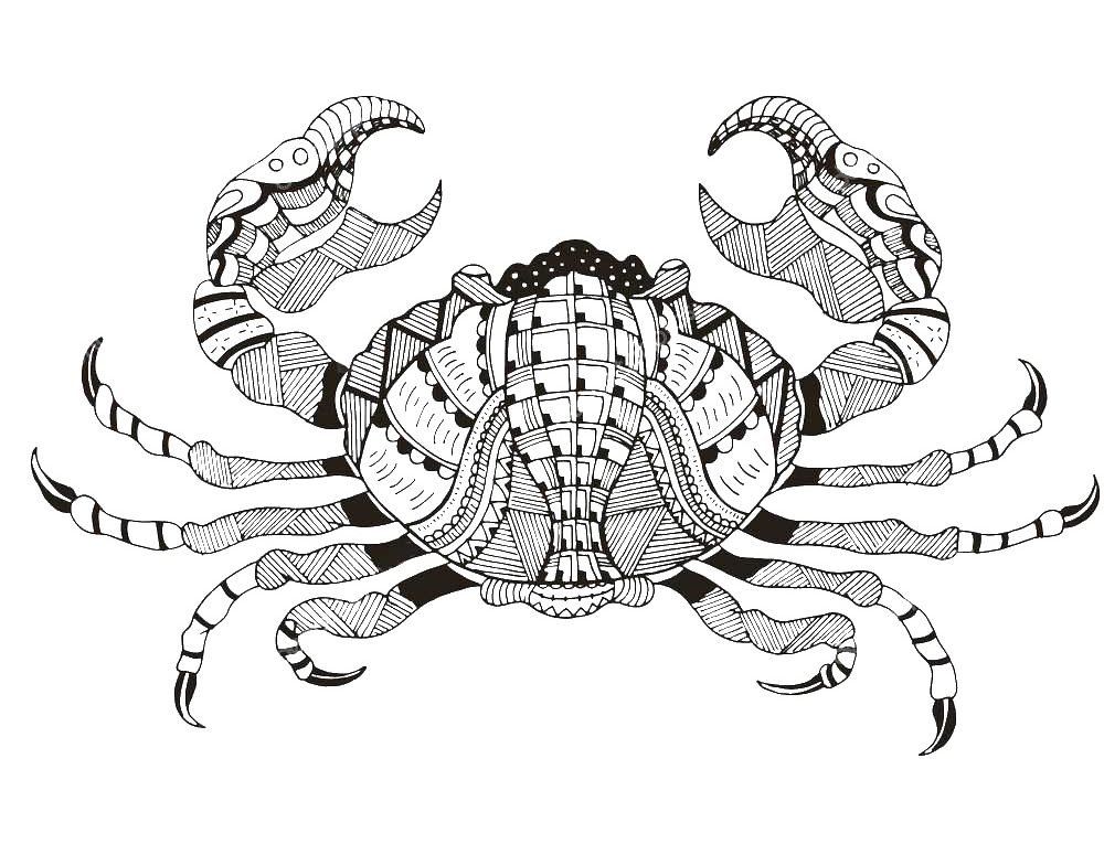 zentangle Crabe un Coloriage crabe, dessin tourteau anti-stress gratuit à imprimer, un tatouage haute définition sur iColorify.com