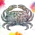 Mandala Crabe un Coloriage crabe, dessin tourteau anti-stress gratuit à imprimer, un tatouage haute définition sur iColorify.com