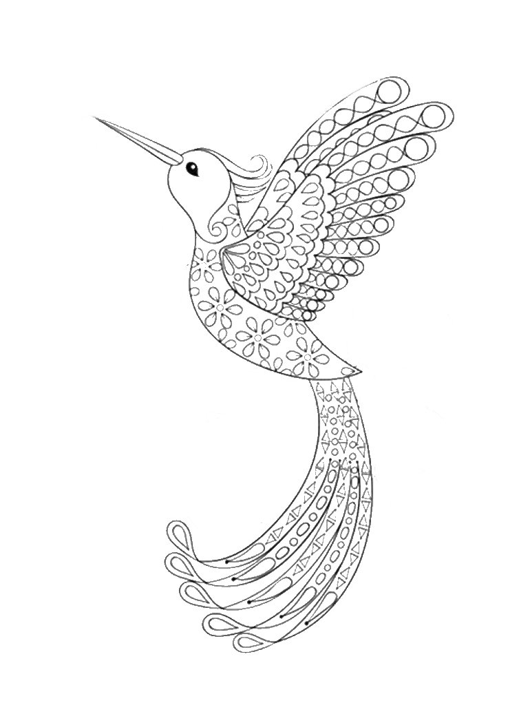 Joli coloriage Colibri, un mandala colibri dessin syle Zentangle de oiseau gratuit à imprimer et colorier